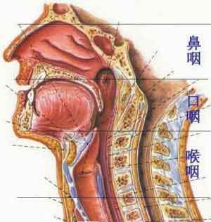 鼻癌的早期症状 鼻癌会死吗