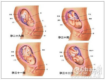 孕妇八个月注意事项?孕妇八个月注意什么？ 怀孕八个月注意事项