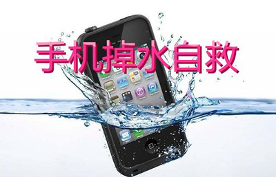 手机掉水里怎么处理 手机掉水里了怎么办