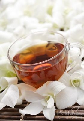 牛蒡茶的副作用 菊花茶的功效与作用