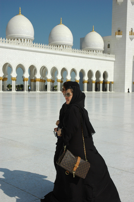 迪拜旅游—扎耶德清真寺指南 谢赫扎耶德清真寺