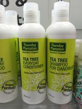 茶树精油的使用方法 茶树精油洗发水