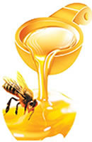 蜂蜜食用方法介绍，蜂蜜价格分析 蜂蜜怎么吃