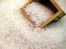 如何选购优质大米 稻米和粳米的区别