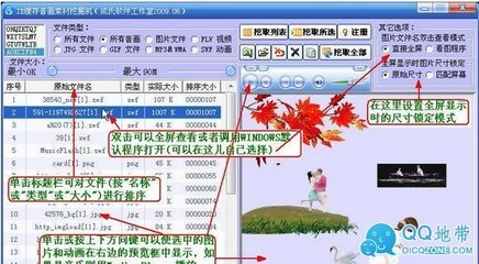 如何提取IE缓存文件 ie缓存提取器