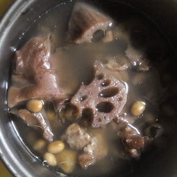 黄豆猪蹄汤怎么做 黄豆炖猪蹄的做法下奶