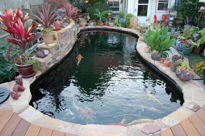 [转载]庭院鱼池设计、景观鱼池设计的基本要求和注意事项是什么？ 私家庭院鱼池景观设计