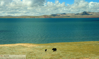 【初入西藏】世界海拔最高的淡水湖措那湖藏北不一般的秀美 最高的淡水湖