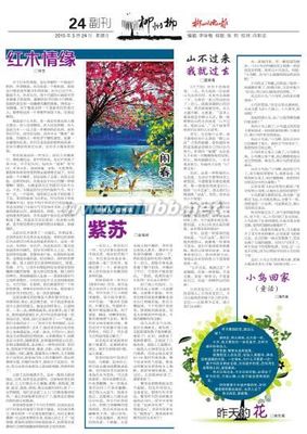 2015年5月24日《柳州晚报》：山不过来，我就过去