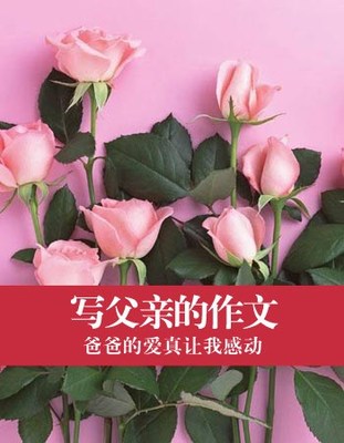 电影《爸爸的爱》精彩评论 爸爸的爱作文400字