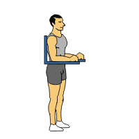 腹直肌整体（04）：支撑提臀抬腿