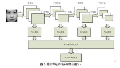 神经网络的特点与功能 卷积神经网络 特点