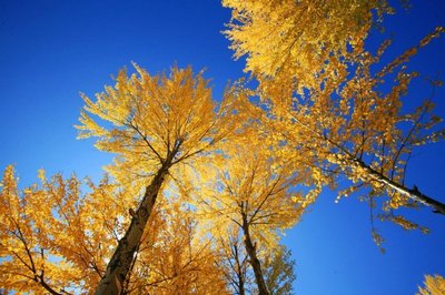 寻找青藏线上最美丽的秋天（5）：茶卡盐湖至格尔木