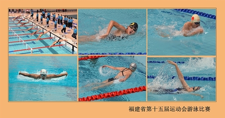 福建省第十五届运动会游泳比赛成绩册 福建省运动会会徽