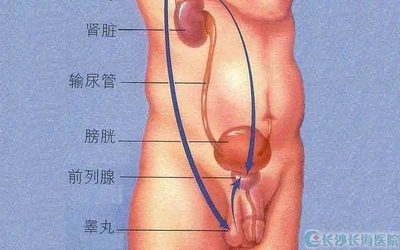 慢性前列腺炎的表现 慢性前列腺炎怎么调理