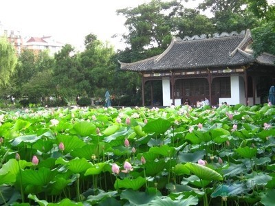 学生作文---美丽的雨山湖公园（杨） 雨山湖公园