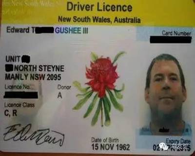 我在澳洲学驾驶（一) 做假澳洲驾驶证