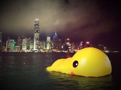 香港维多利亚港的大黄鸭死了（图) 香港维多利亚港