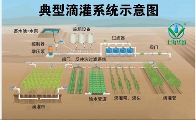 [转载]水肥一体化技术的概念及技术要点 水肥一体化实施方案