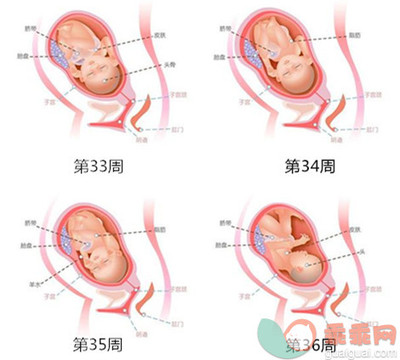 怀孕第九个月胎儿和准妈妈的症状 怀孕第九个月注意事项