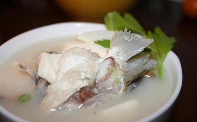 炖鱼汤的做法 清炖鱼