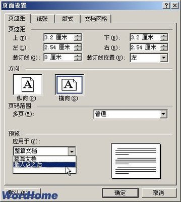 Microsoft word2003中怎样进行页面设置？ word2003怎么设置页面