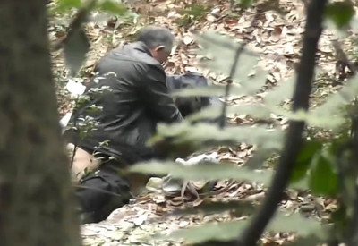 [转载]山野树林里的偷腥者 山野树林偷腥jiji图片