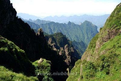 神农架女野人迷恋王采药 栖身神农架22年找野人