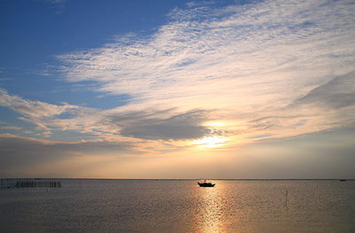 夕阳之恋…【极品美图】 夕阳之约夕阳之恋图片