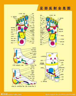 [转载]人体穴位全息图和反射图 穴位反射区股骨头坏死