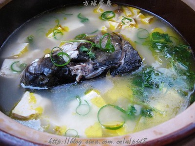鱼头炖豆腐 鱼头豆腐汤的做法