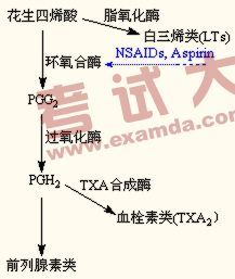 非甾体抗炎药的治疗监护_夏无天 非甾体抗炎药作用机制