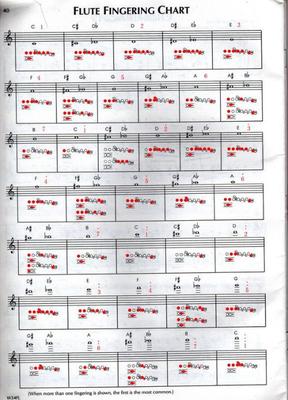bB单簧管首调唱名升降半音指法 单簧管指法表