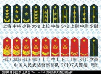 中国军队军衔 军衔等级肩章排列图片