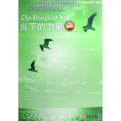 《当下的力量》--在线阅读 当下的力量 pdf