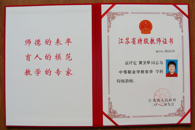 [转载]徐州市被评为“江苏省特级教师”的老师 江苏省徐州市丰县