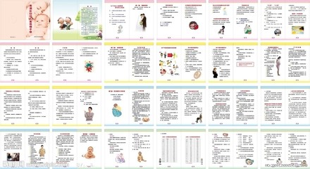 生命海人体健康手册 上海市孕产妇健康手册