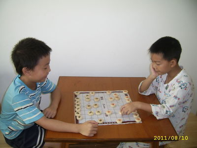 我的国际象棋藏书 我的特长是下国际象棋