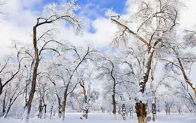 与＂雪＂有关的诗句 有关雪的诗句