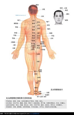 足太阳膀胱经【经穴图文详解】 人体膀胱经穴位图