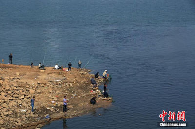 泾渭合流到沧瀛——吕牧诗《泾渭扬清浊》赏析 水的清浊