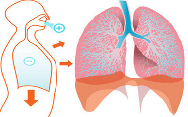 关于肺癌的介绍和治疗方法 肺癌晚期保守治疗方法
