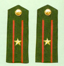 解放军各军种肩章，军衔等级（图文并茂） 肩章代表的军衔