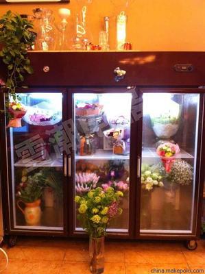 鲜花冷藏柜、鲜花的保鲜方法 保鲜柜和冷藏柜的区别