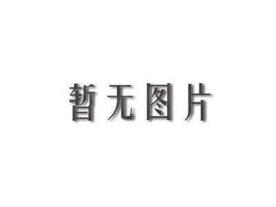 姜文电影24部（2012年4月17日更新6部） 2k17更新