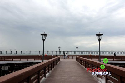 漫步深圳绿道之86：宝安西湾红树林公园