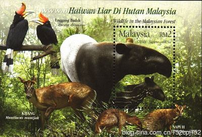 邮说动物（89）马来貘貘科——奇蹄目 马来貘