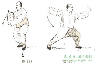 传统杨式太极拳85式歌诀 85式杨式太极拳