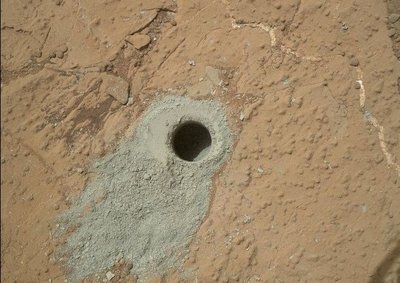 请问着是什么虫子，水井里发现的 火星上发现虫子