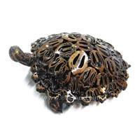 怎么制作乌龟壳标本 乌龟壳背包手工制作